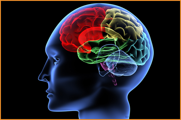 stefan-ebner-trainer-life-kinetik-ballschule-tennis