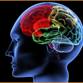 stefan-ebner-trainer-life-kinetik-ballschule-tennis